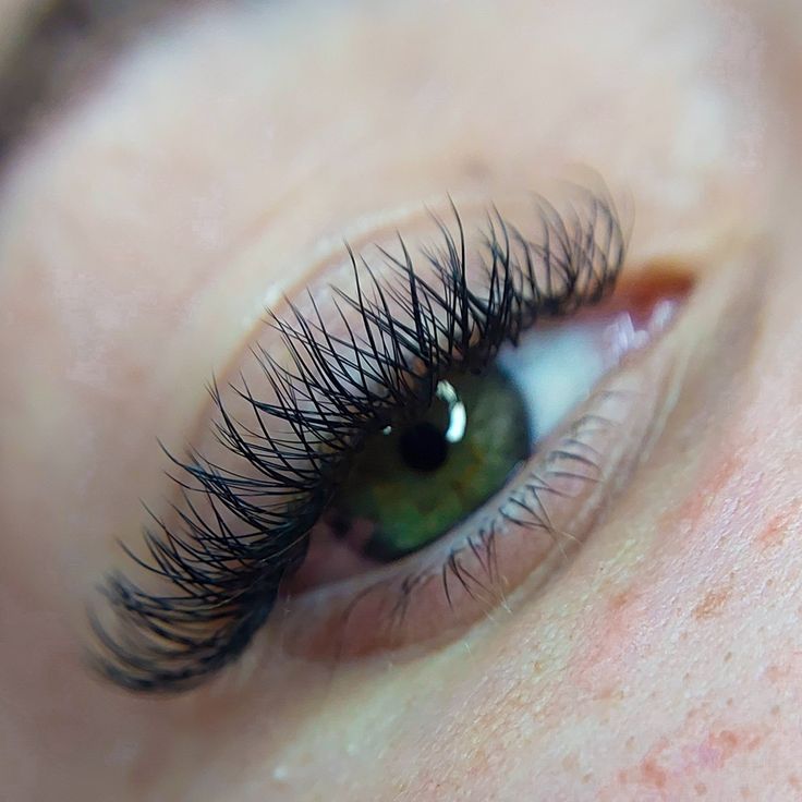 Y-Lashes