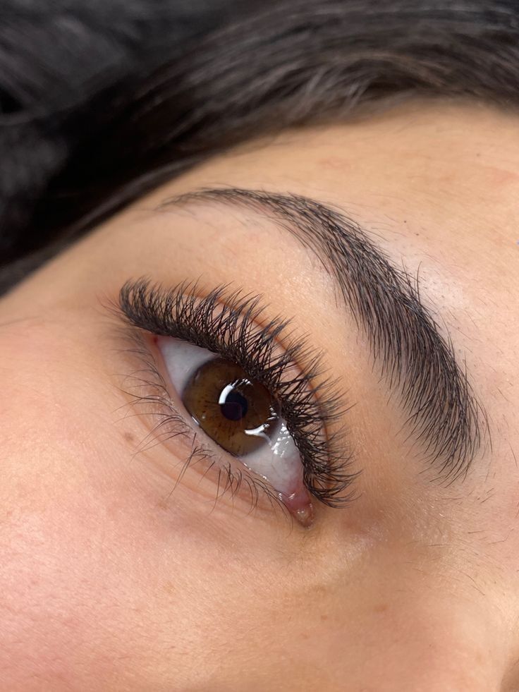Y-Lashes