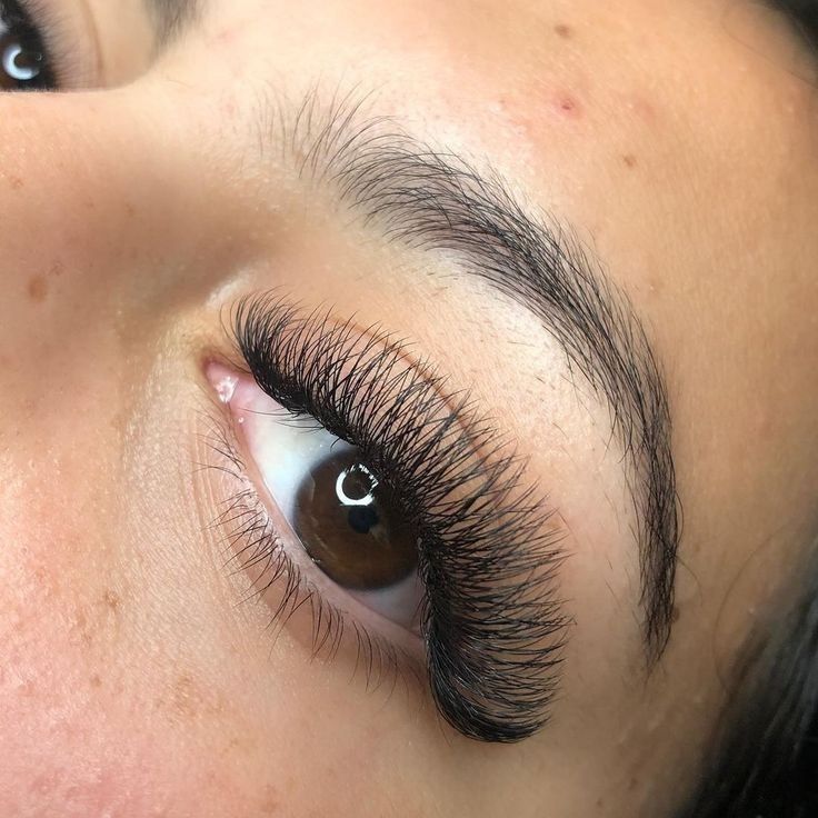 Hybrid Lashes