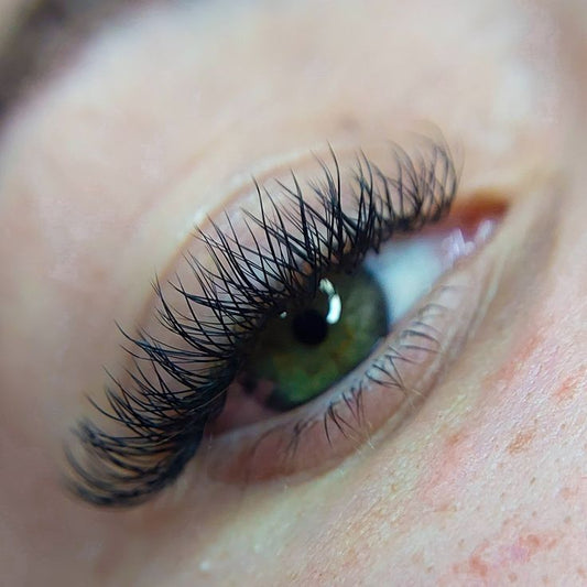 Y-Lashes