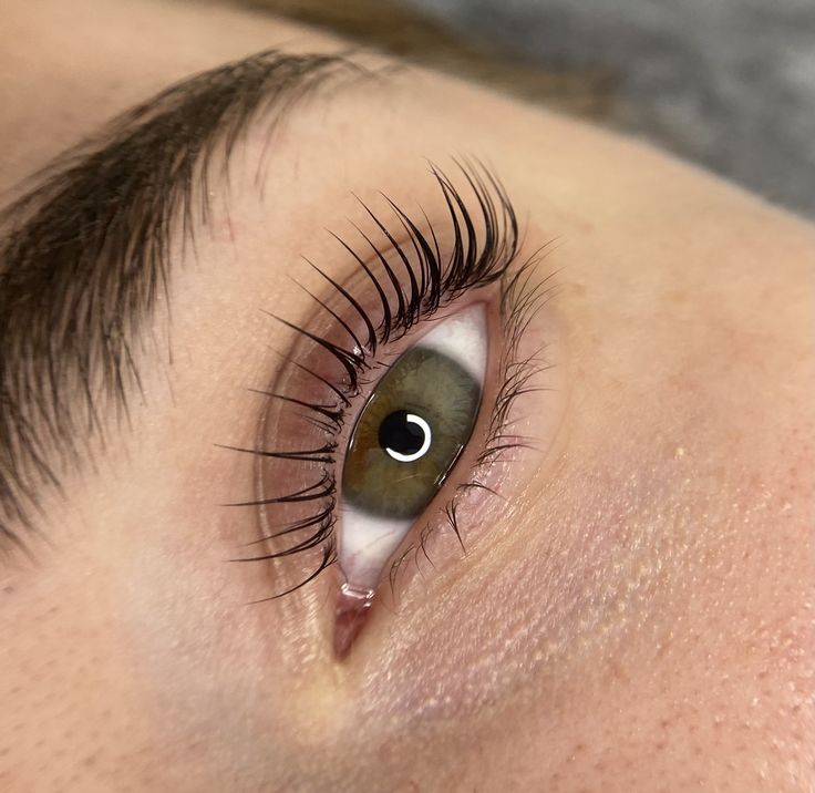 Lash lift med farve